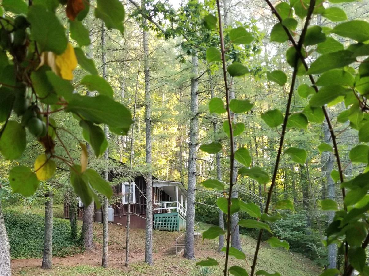 The Cabins At Healing Springs Crumpler المظهر الخارجي الصورة